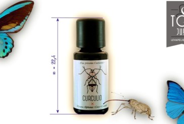Curculio (gamme Curiosités) par FUU