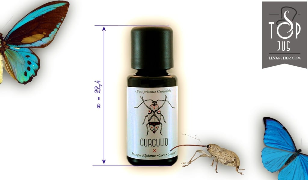 Curculio (gamme Curiosités) par FUU