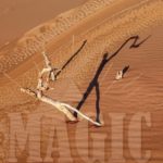 Magic (gamme Mystic Line) par The Fabulous