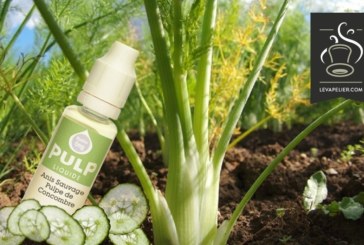 Anis Sauvage Pulpe de Concombre par Pulp