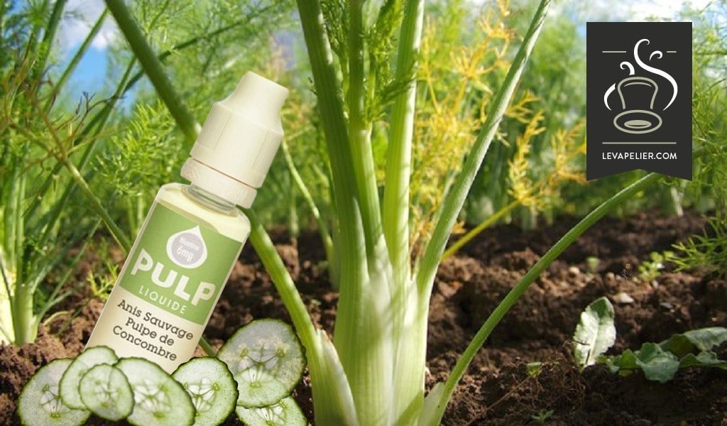 Anis Sauvage Pulpe de Concombre par Pulp