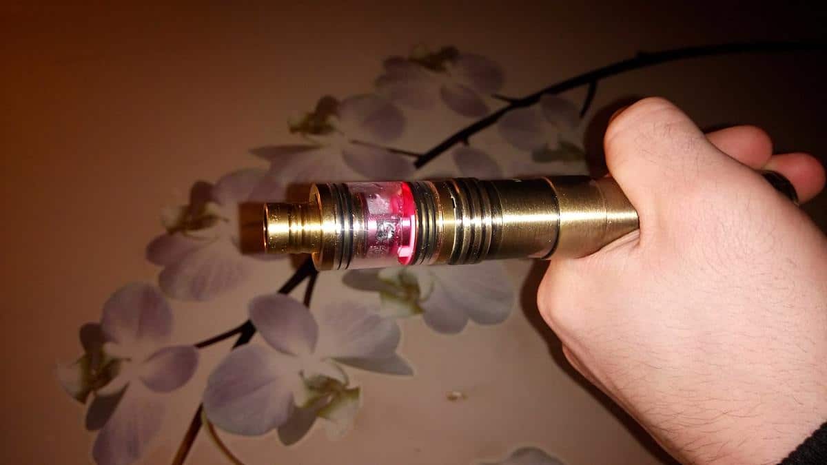 Fishbone Plus par Icloudcig [Flash Test]
