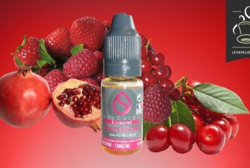 Fruits Rouges par Savourea