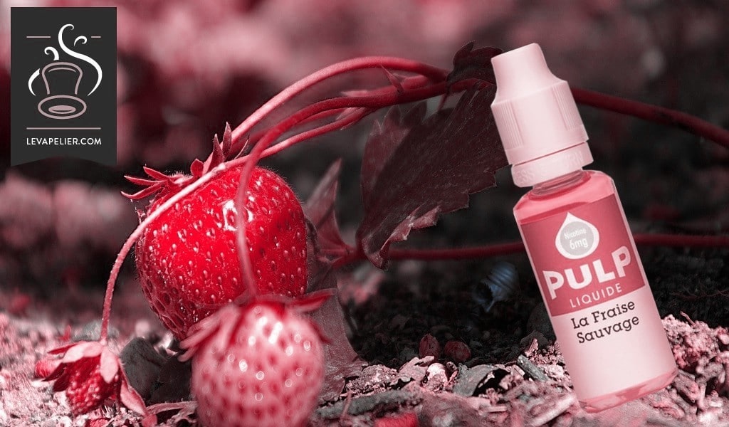 La Fraise Sauvage par Pulp