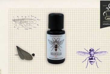 Volucella (Gamme Curiosités) par Fuu