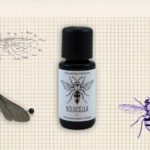 Volucella (Gamme Curiosités) par Fuu