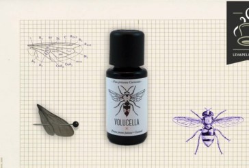 Volucella (Gamme Curiosités) par Fuu