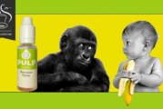 Banane verte par Pulp