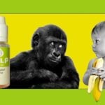 Banane verte par Pulp