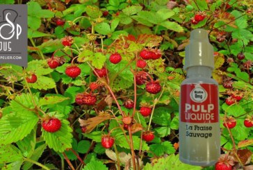 Fraise Sauvage par PULP