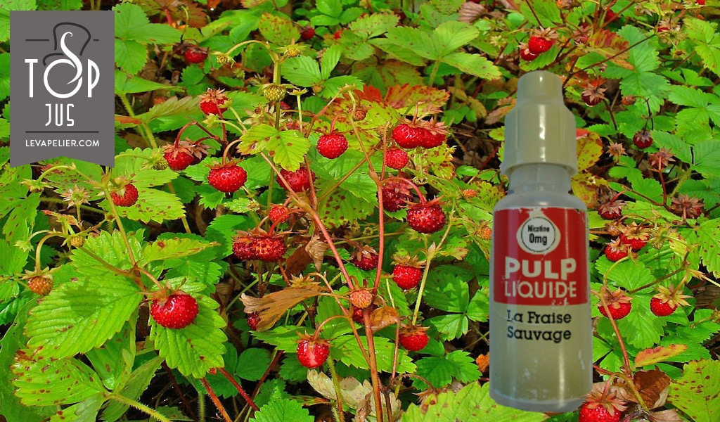 Fraise Sauvage par PULP