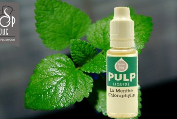 Menthe Chlorophylle par PULP