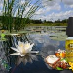 Bavanuts par Frenchy Fog