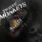 Mangabeys (gamme Intelligence) par Twelve Monkeys
