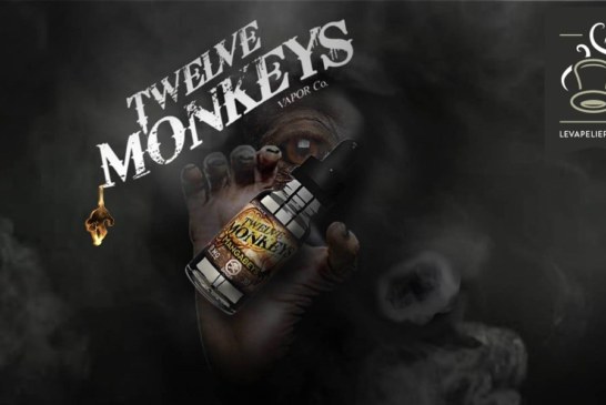 Mangabeys (gamme Intelligence) par Twelve Monkeys