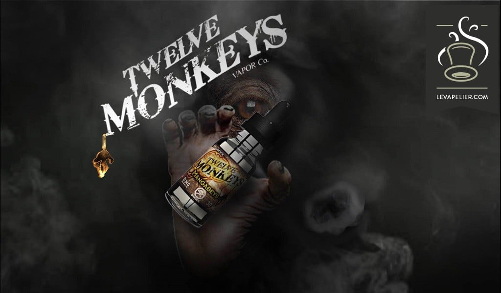 Mangabeys (gamme Intelligence) par Twelve Monkeys