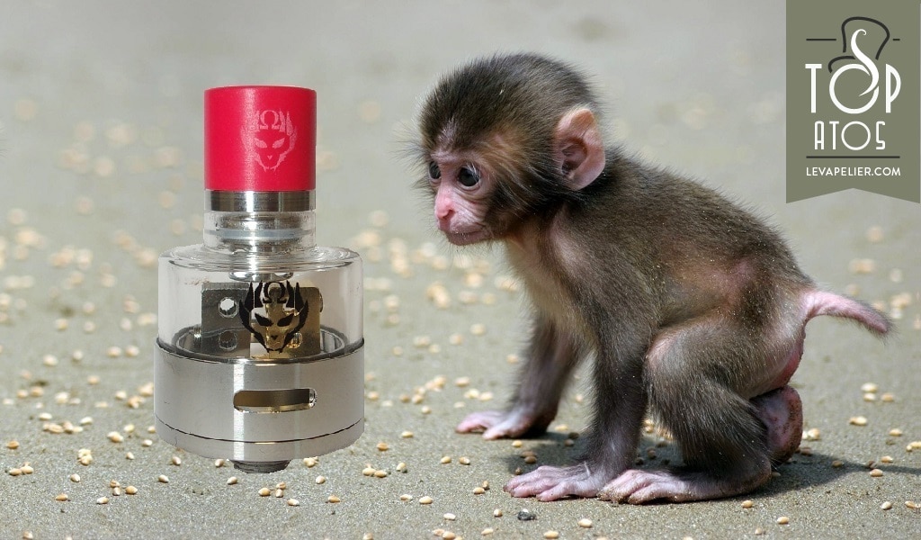Monkey King RDA par Oumier