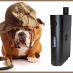 Nebox Starter Kit par Kangertech