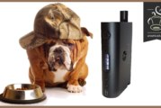 Nebox Starter Kit par Kangertech