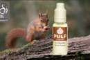 Noisette et sa Coque par PULP