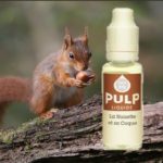 Noisette et sa Coque par PULP