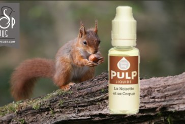 Noisette et sa Coque par PULP