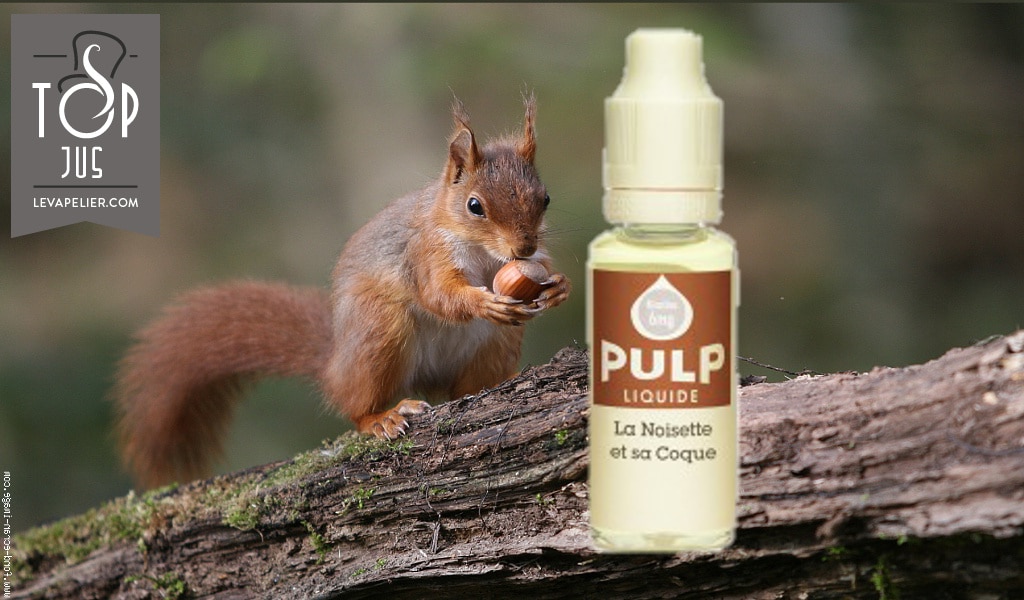 Noisette et sa Coque par PULP