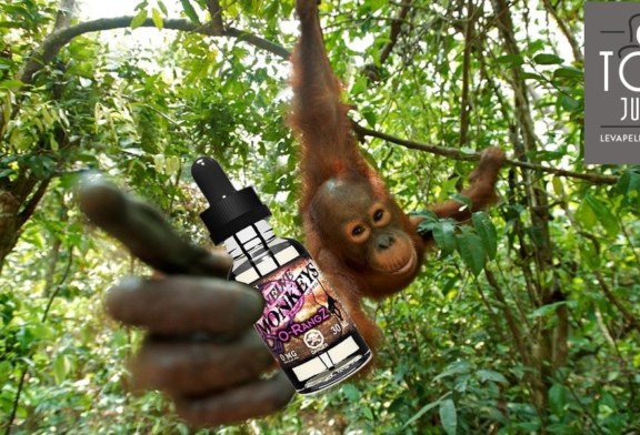 O-Rangz par Twelve Monkeys