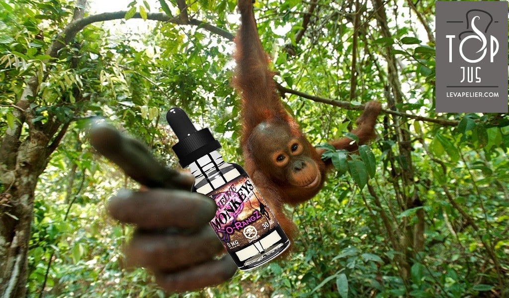 O-Rangz par Twelve Monkeys