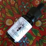 Volucella gamme curiosités par Fuu
