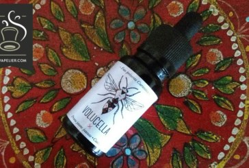 Volucella gamme curiosités par Fuu