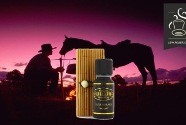 Cloud Farmer par Cloud Vapor