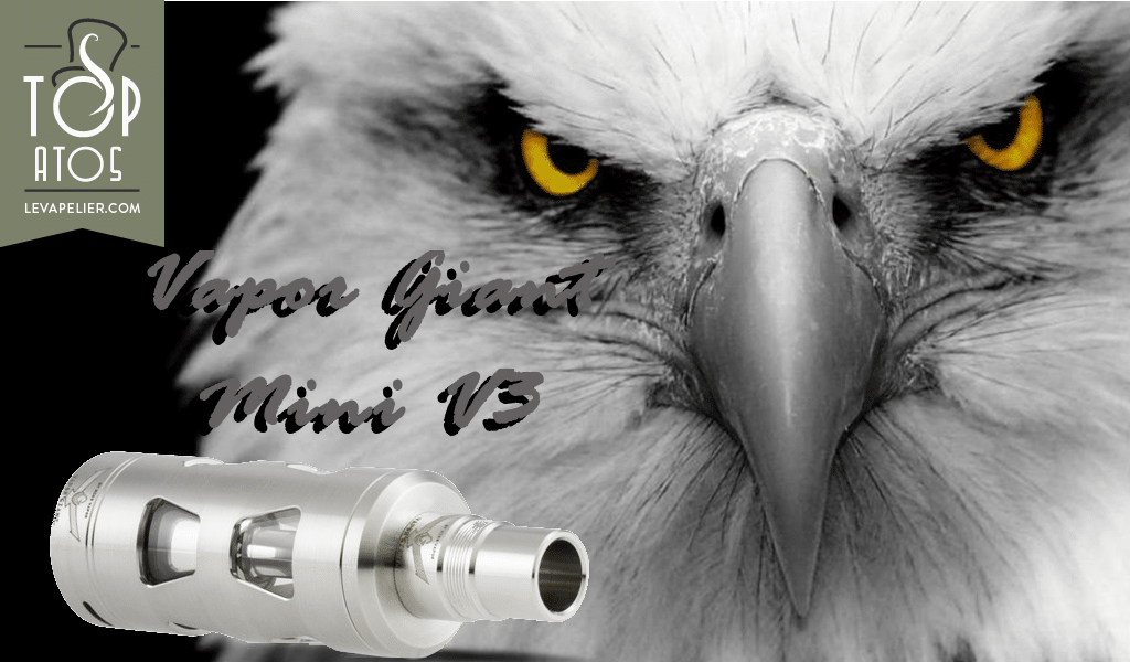 Vapor Giant Mini V3 par Niko Vapor