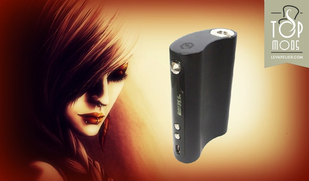 VaporFlask Classic par Wismec