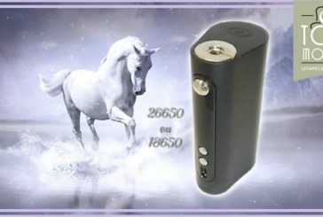 VaporFlask Stout par Vape Forward et Wismec