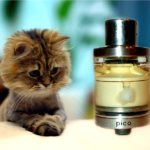 Pico RTA par YellowKiss