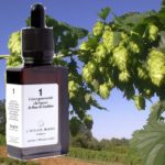 Crème gourmande à la liqueur de fleur de houblon par L'Atelier Nuages