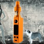 Evic Vtwo Mini par Joyetech