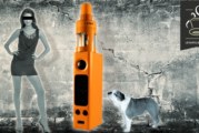 Evic Vtwo Mini par Joyetech