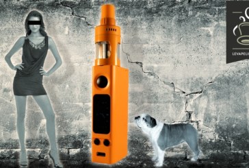 Evic Vtwo Mini par Joyetech