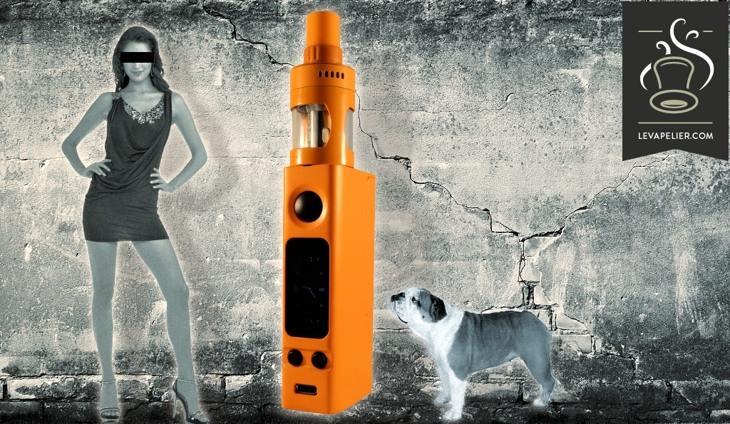 Evic Vtwo Mini par Joyetech