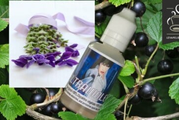 Ultraviolette (gamme Ciné-Série) par Infinivap