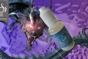 Eragon’s (gamme Cine-Série) par Infinivap