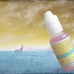 Heiseinbrain (gamme Ciné-Série) par Infinivap