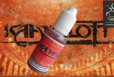 Kamelott (Gamme Ciné-Série) par Infinivap