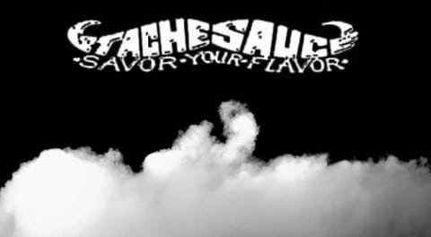 The Flavor Saver par Stache Sauce - 4