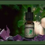 GREEN FAIRY par BUCCANEER'S JUICE