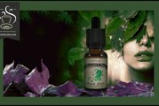 GREEN FAIRY par BUCCANEER’S JUICE