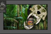 MONKEY ISLAND par BUCCANEER’S JUICE