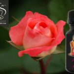 Paradise Flowers (Gamme Pin-up) par Bio Concept